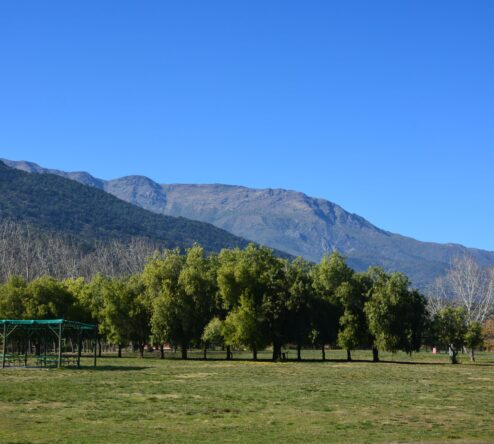 Áreas verdes y
Explanadas